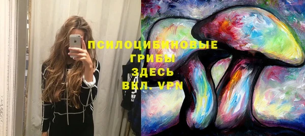 соль курить ск Арсеньев