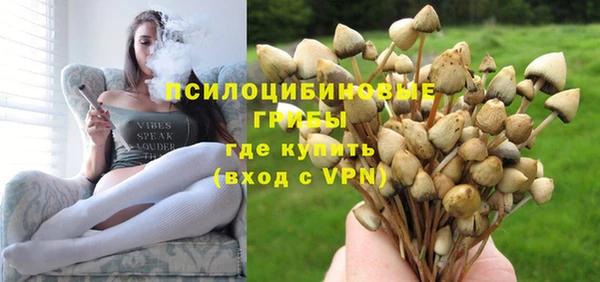ECSTASY Аркадак