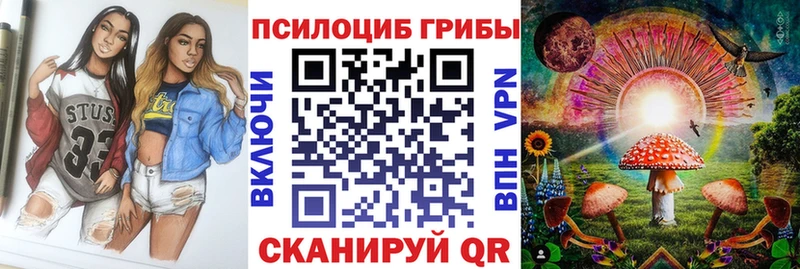 купить  цена  Приволжск  omg ССЫЛКА  Галлюциногенные грибы Psilocybine cubensis 